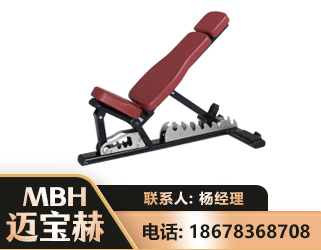 潮州可调哑铃椅